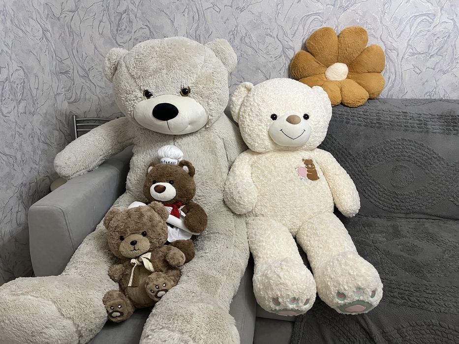 Продам медведей срочно!!!