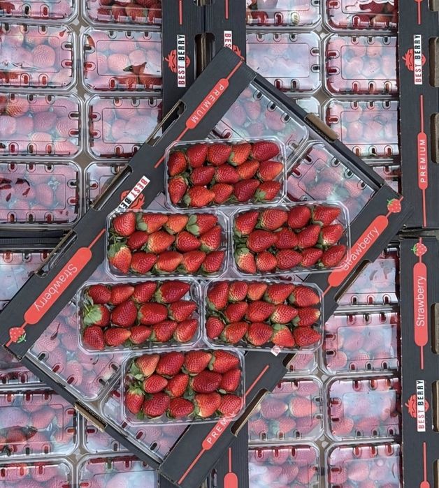 Клубника 5кг-4800о