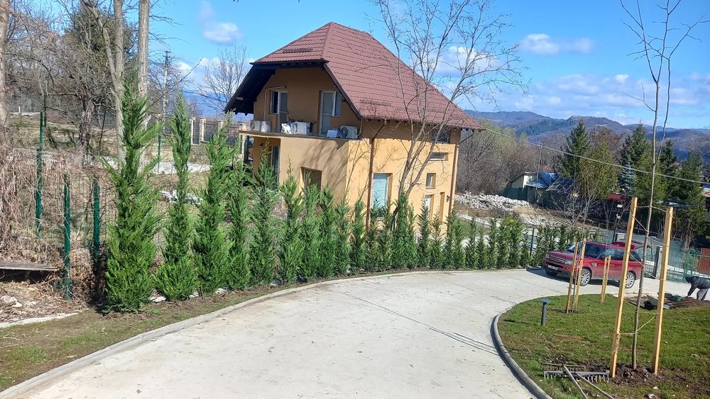 Gazon rulou calitatea 1