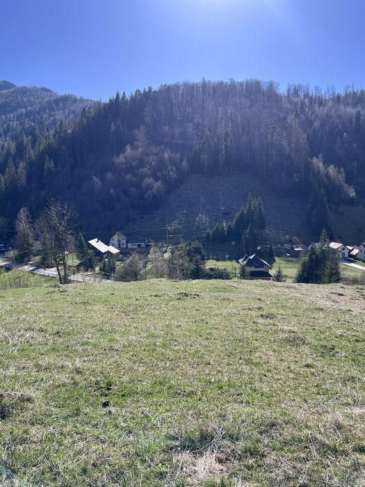 Teren de vânzare intravilan situat în comuna Pojorâta- TransRarau