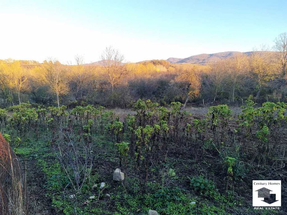 Продава се Парцел в с. Плаково, Област Велико Търново - 3575 кв.м за 8 €/кв.м - Снимка #7