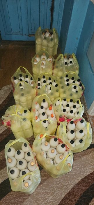 Продам натуральный кумыс