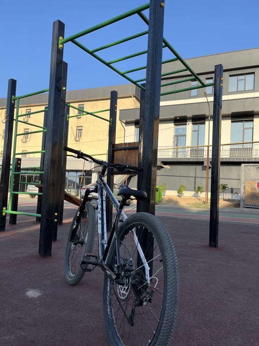 Дәмдеуіштер алмасу аймағы