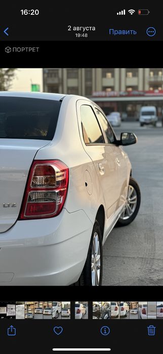 Toza shut 2025 bulip keldi