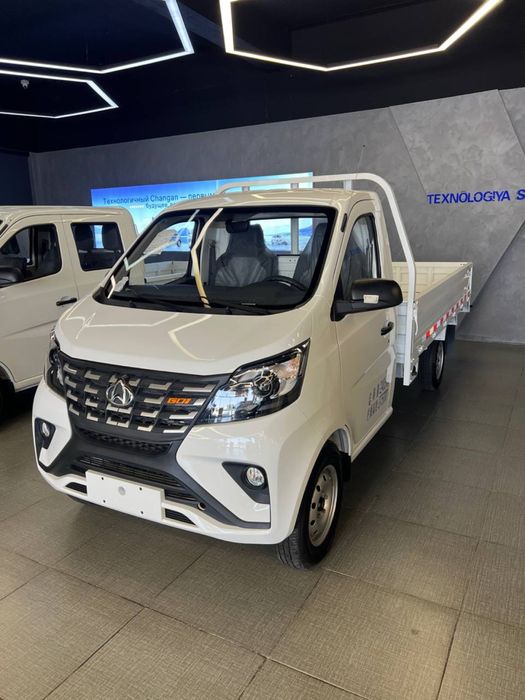 Changan hamma madelidan bor