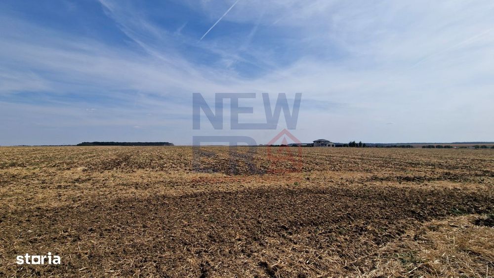 Teren de vanzare de 11.068 mp extravilan arabil in zona Belciugatele -