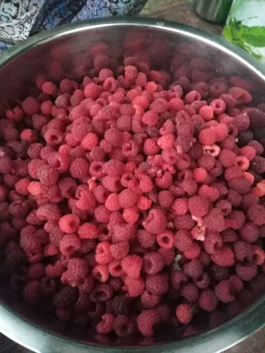 Продам Галанскую малину