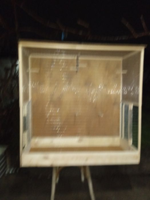 клетках для канареек