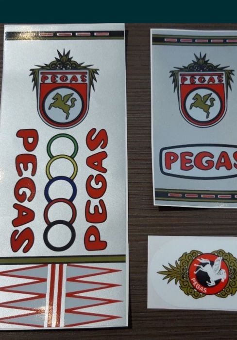 Pegas bicicleta si accesorii