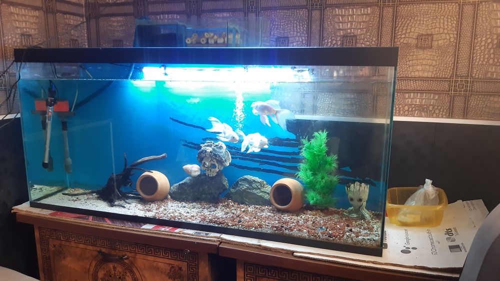 Akvarium 300L sotiladi