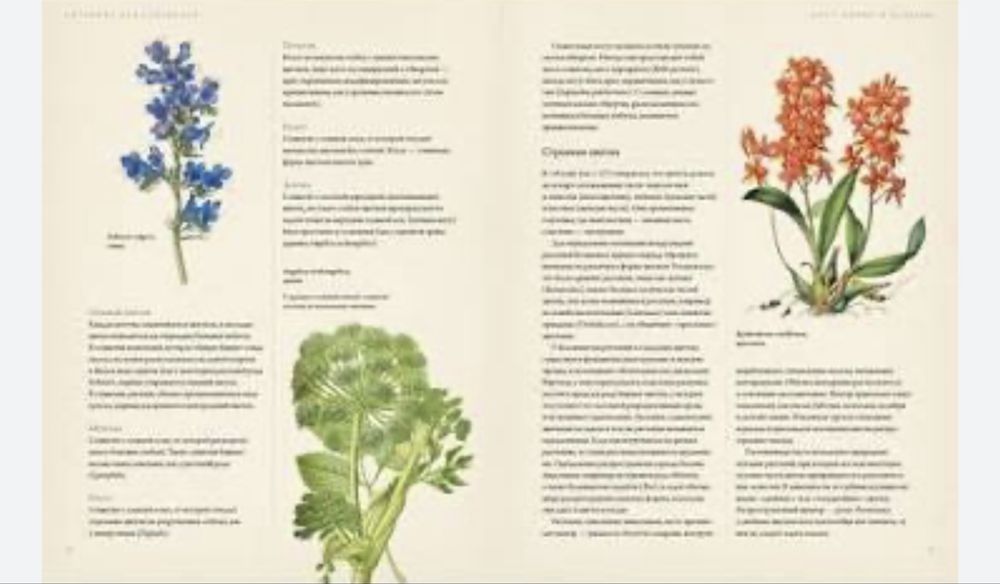 Книга в идеальном состоянии