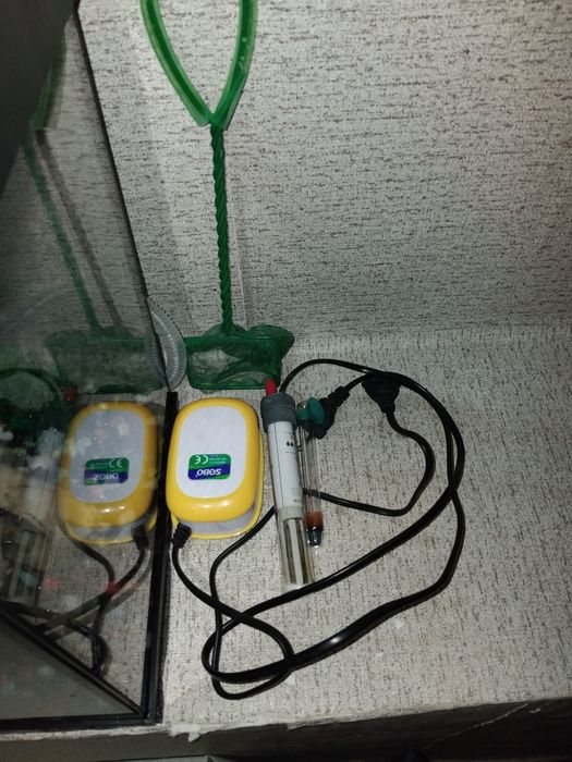 Аквариум с всичко към него