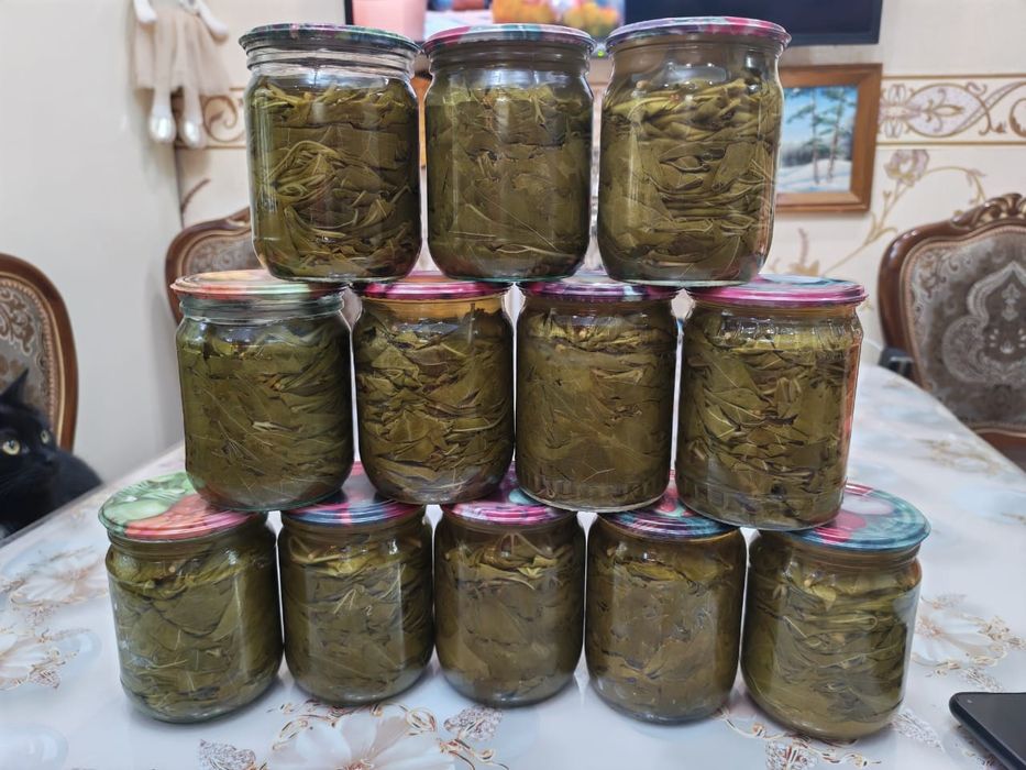 Продам виноградные листья Долму.