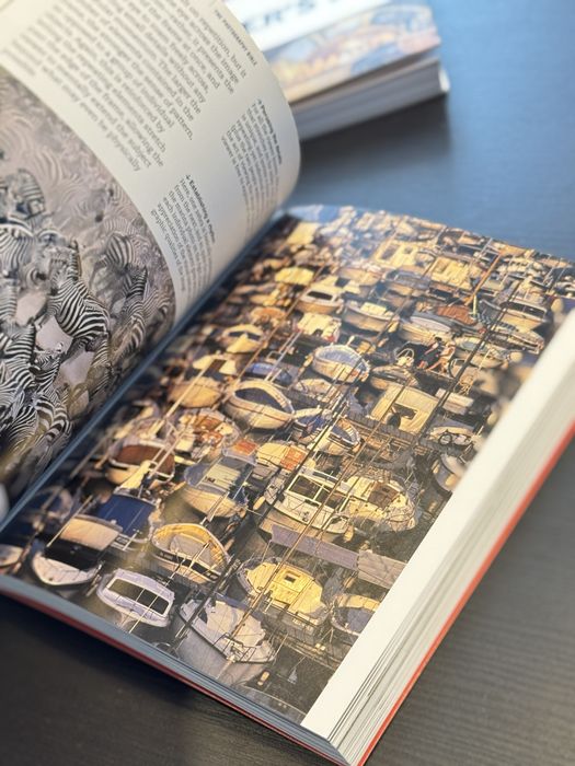 Carti fotografie Michael Freeman The Photographer Eye s