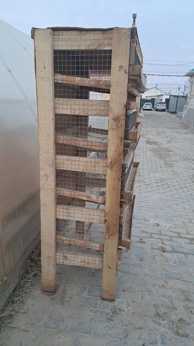 Клетки для перепелов