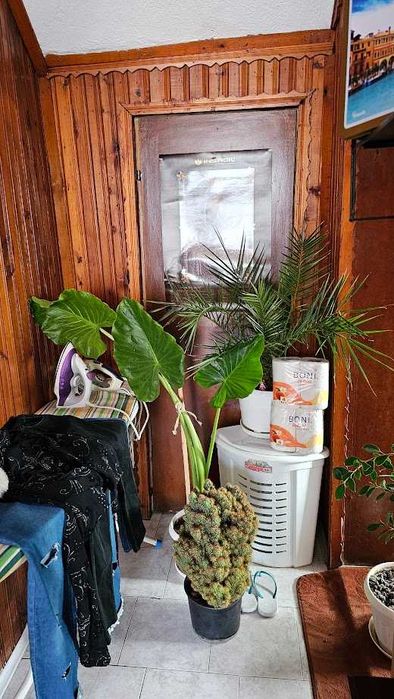 Продава се Къща в Раковски - 200 кв.м за 490 €/кв.м - Снимка #8