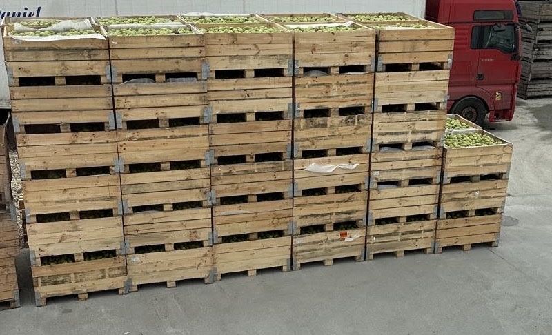 Boxpaleti pepeni , cutii , lazi , paleti