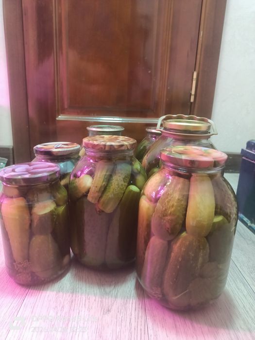 Продам соленье  огурцы грибы
