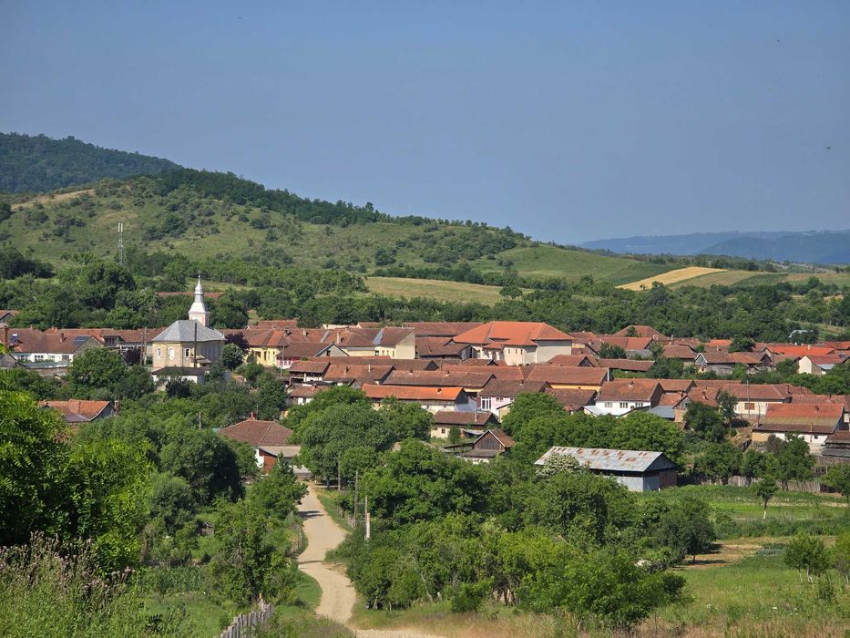 Casa de vanzare la sosea in Girbovat, langa Bozovici, 5 camere