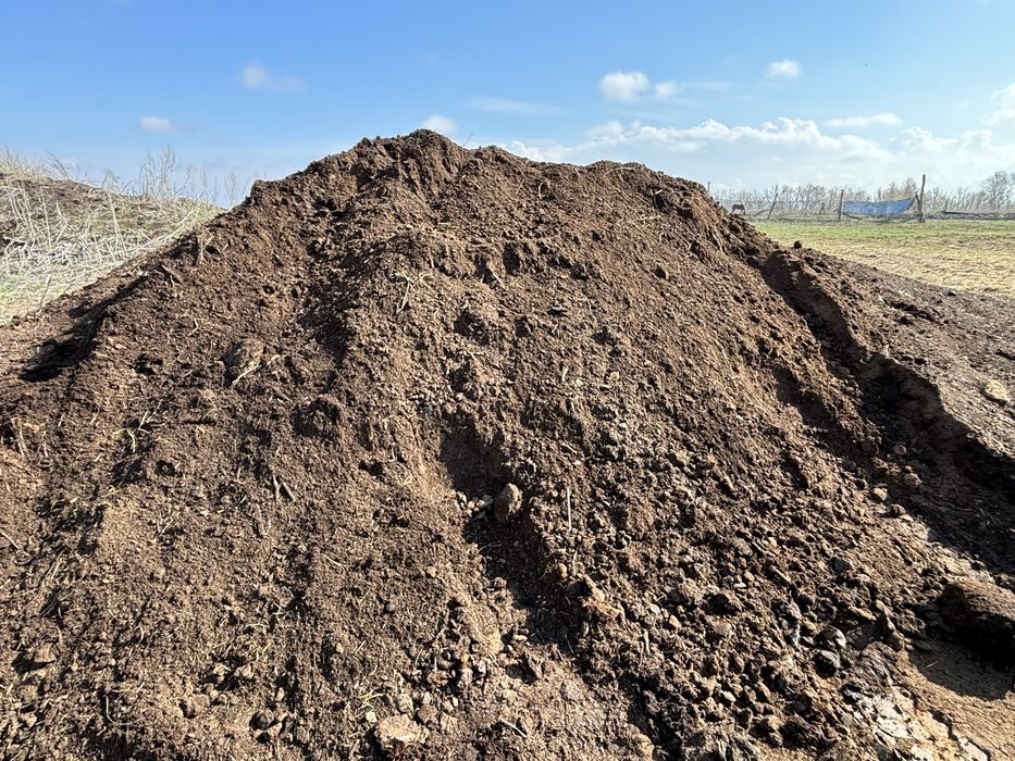 Прегной хороший доставка есть