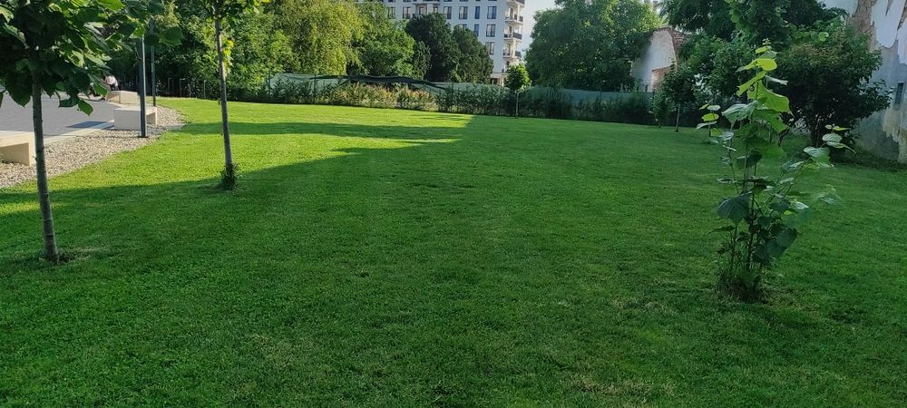 Întreținere spatii verzi