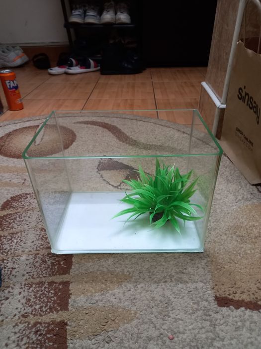 Vând acvariu și accesorii. O planta și un castel.