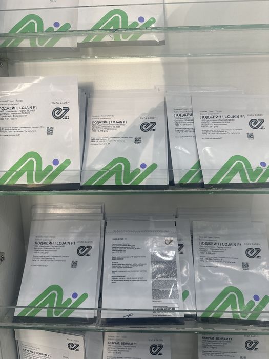 Лоджейн семена томат