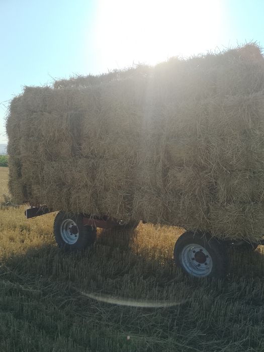 Vând baloți de paie
