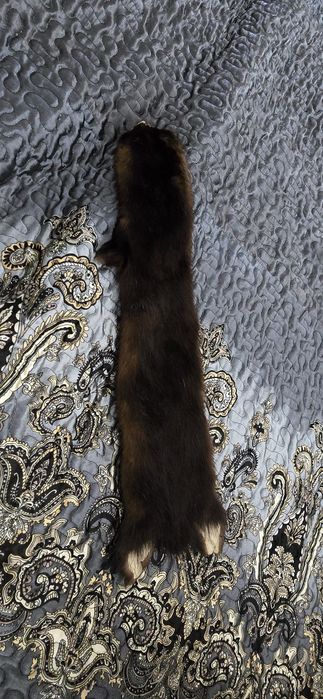 Шкурки каракуль и норка
