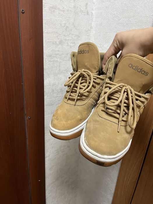 Adidas hoops торг