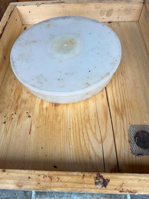 Vand stupi de albine din lemn, 10 rame, cu magazie 1/2 + accesorii