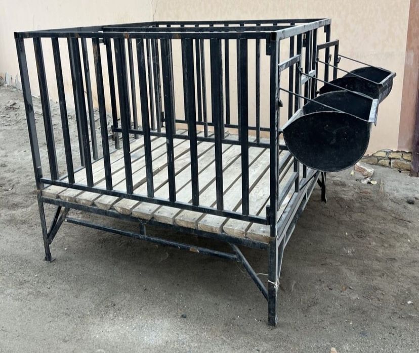 Quy xonasi ikkita va turta ketadi