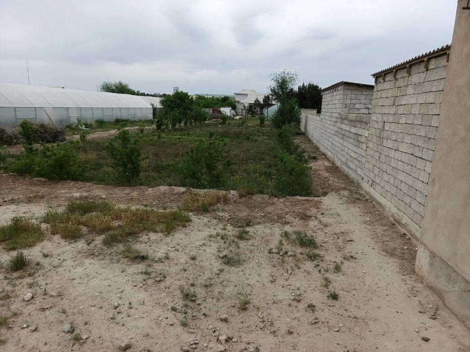 Uchqizil xokimyati yonida