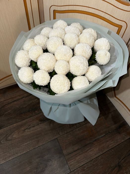 Шаровидные хризантемы (момоко)