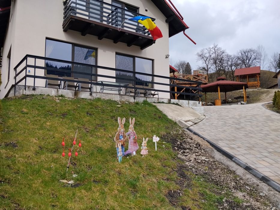 Cazare Montan Residence Sadova 24/24