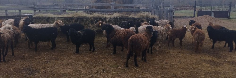 Продажа пишите звоните