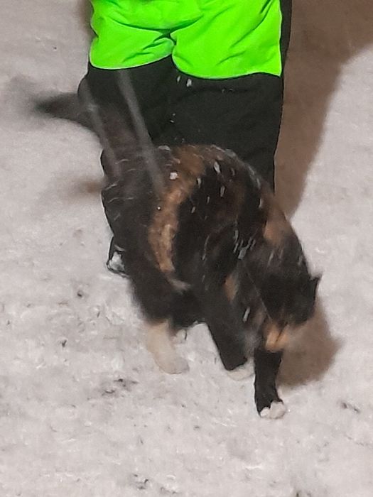 Пожалуйста срочно помогите