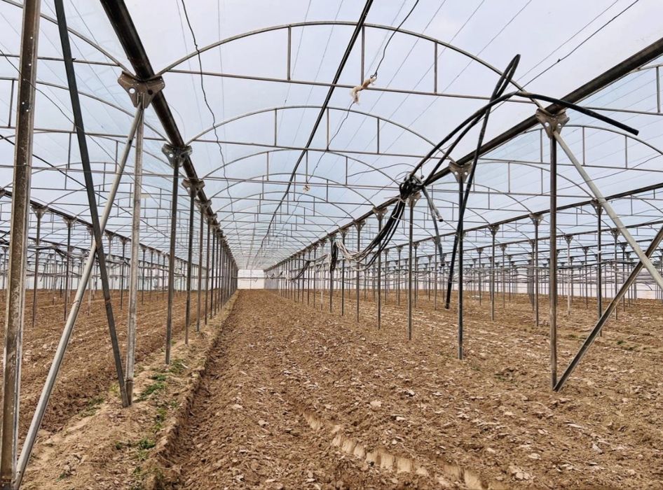 Parnik( теплица) issiqxona quriberamiz nerjaveyka 1 sotok narxi