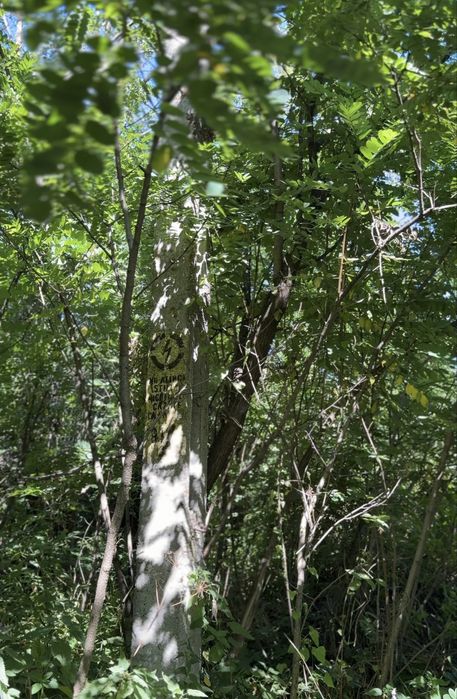 Vând Teren Intravilan 6710 mp în Tulgheș, Harghita