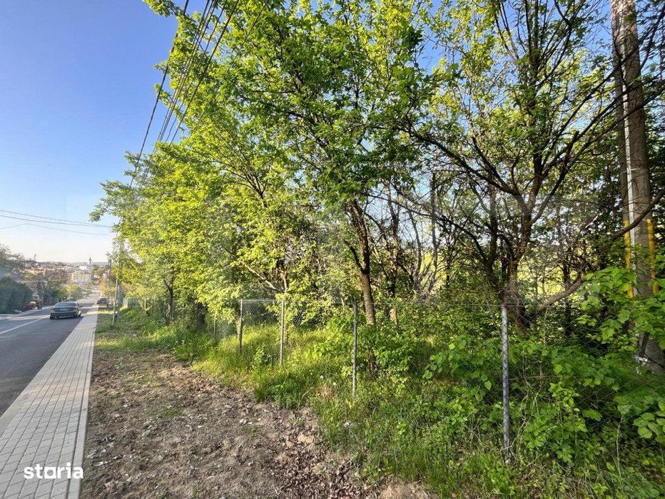 Teren intravilan ,cu vegetatie, 2700 mp, zona Siret