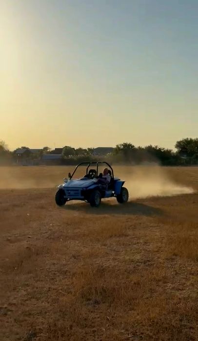 Заводской Багги 800куб