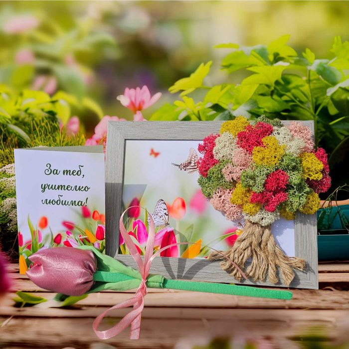 Комплекти за Дипломиране, Пана за учители