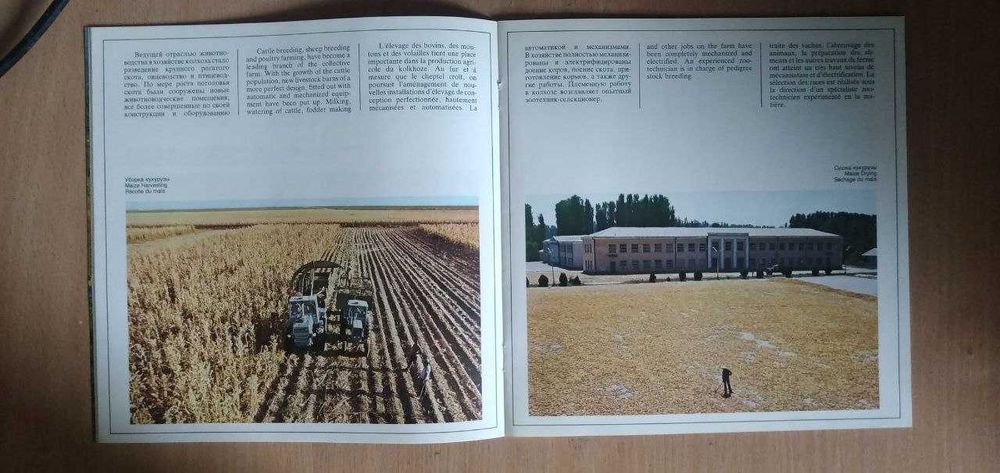 Редкая брошюра СССР 1970-х: «Колхоз Политотдел» — идеальное состояние