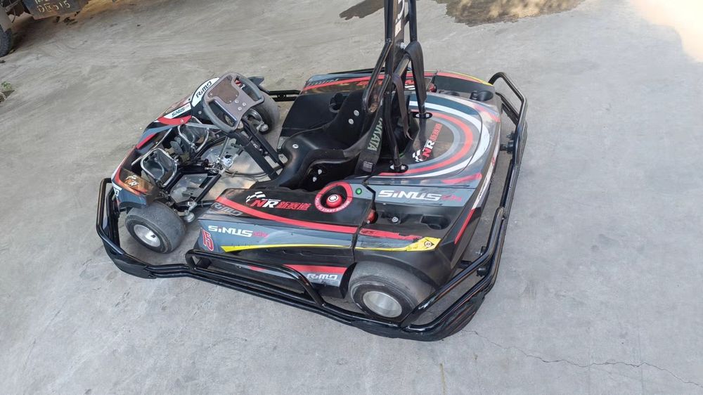 Rimo sinus ion электрокартинг