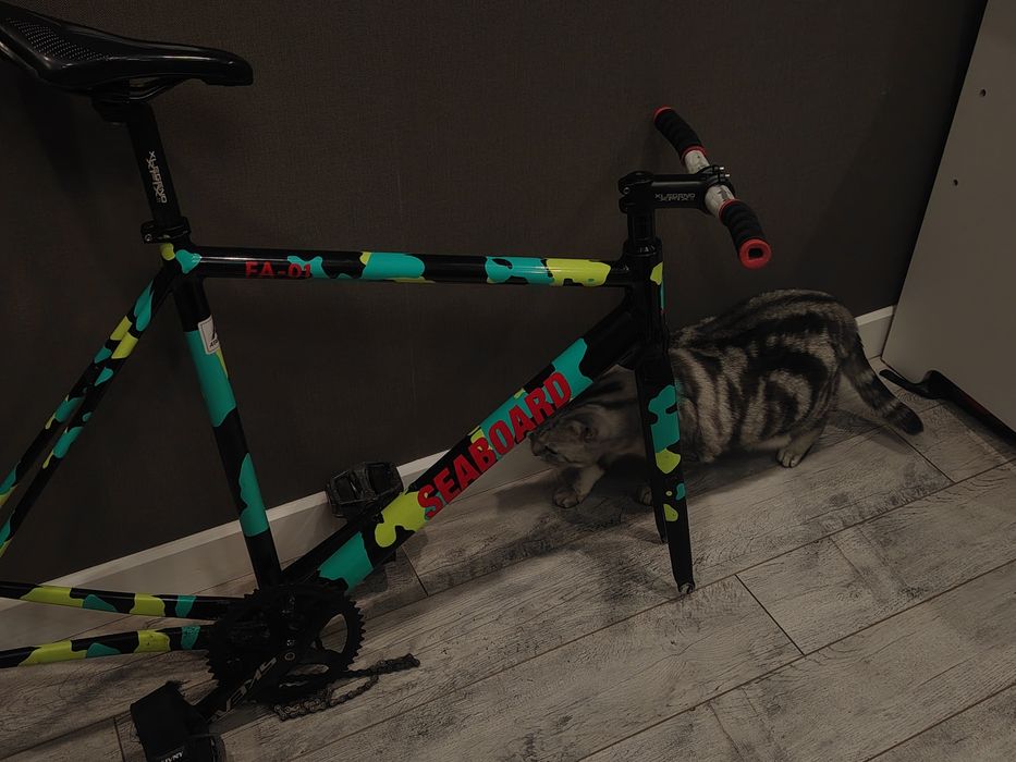 seabord fa01 (Fixed Gear, Фикс)