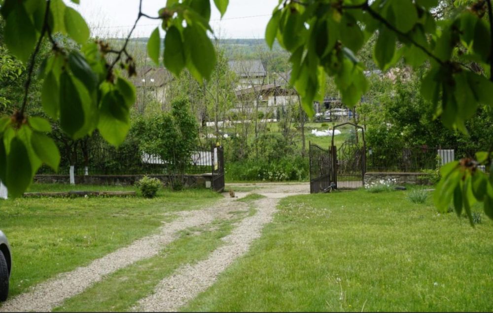 Inchiriez Căbănuțe Rustice – Locație Liniștită