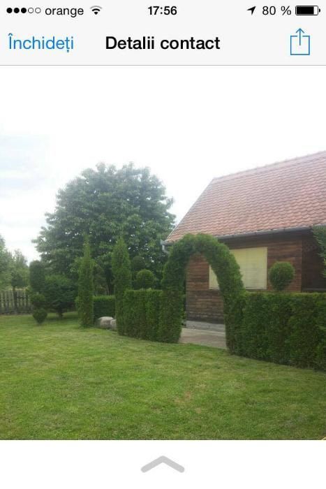 Tuia de la Producator!