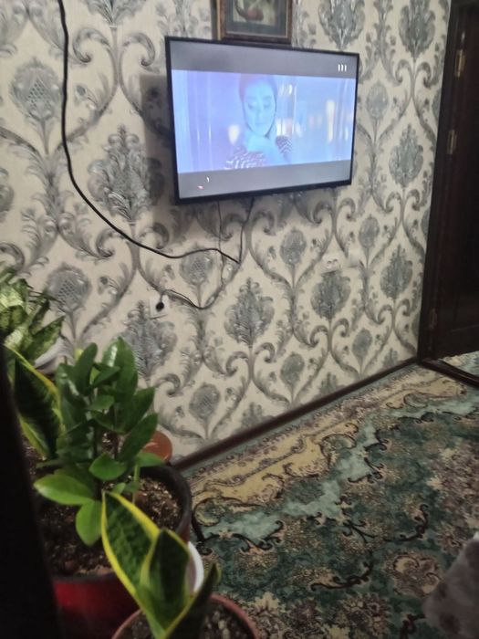 Алгоритм 30.  Замин.  2 х комнатная аренда. Срочно