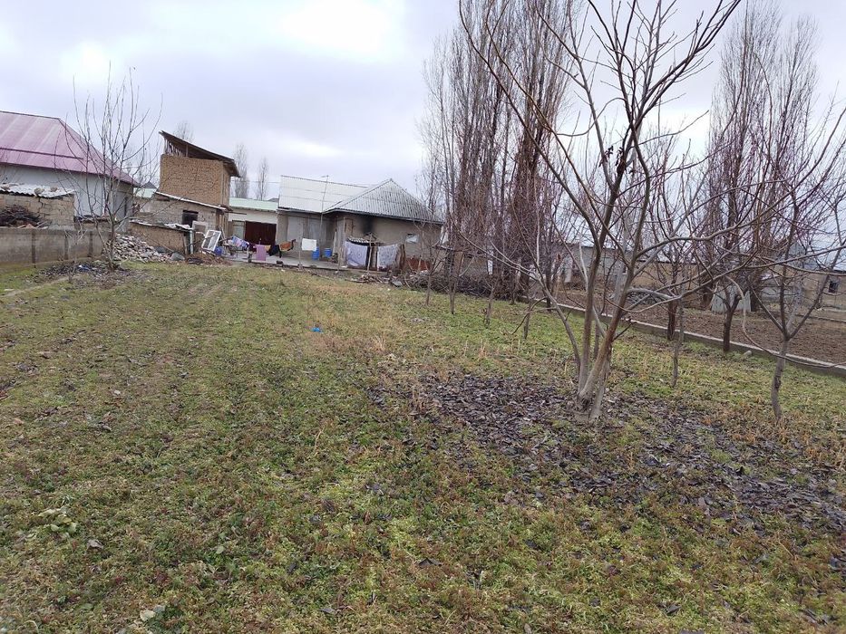 Yangiyoʻl tumanida joylashgan ezoz kfesi yonida zarilga sotilayabdi