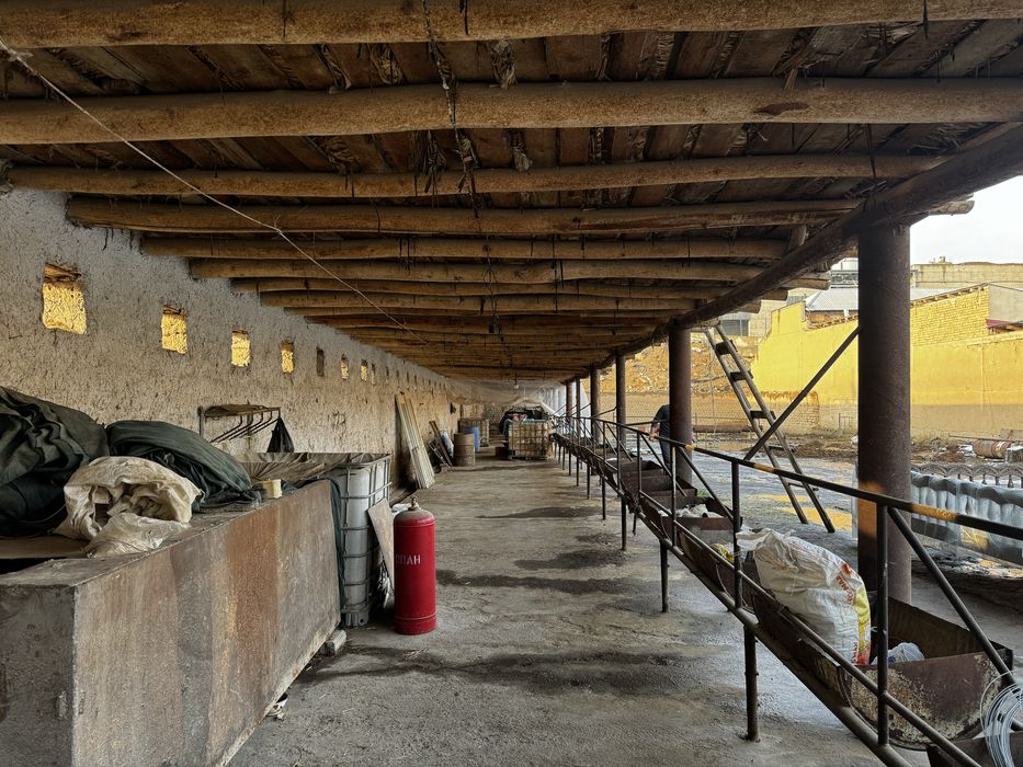 Tashgresda ferma sotiladi